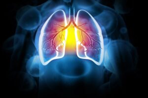 an image of lungs